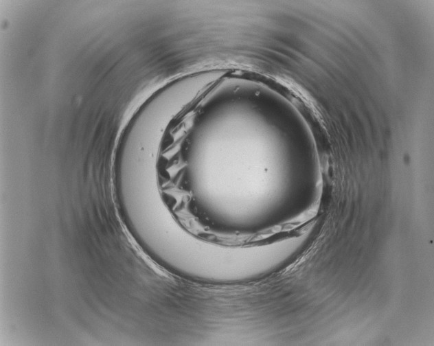 X0000070190894200606161548