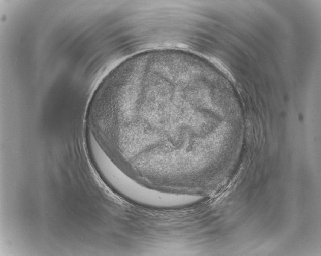 X0000070190895200606161548