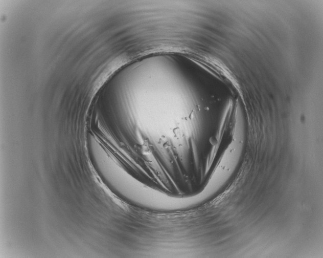 X0000070190898200606161548