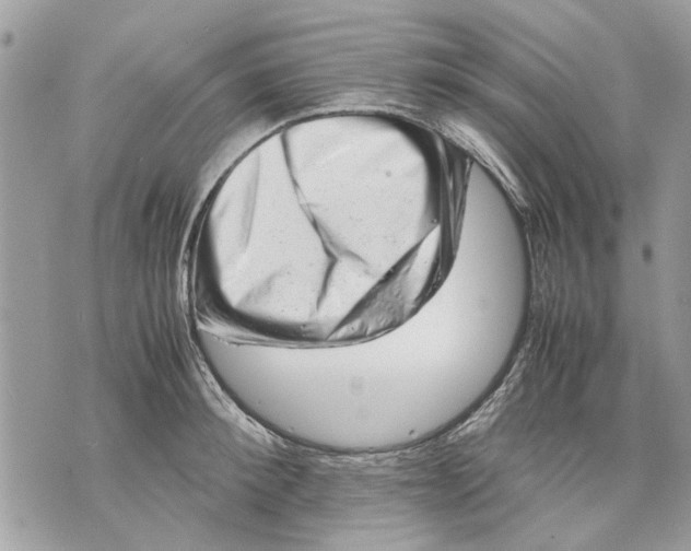 X0000070190900200606161548