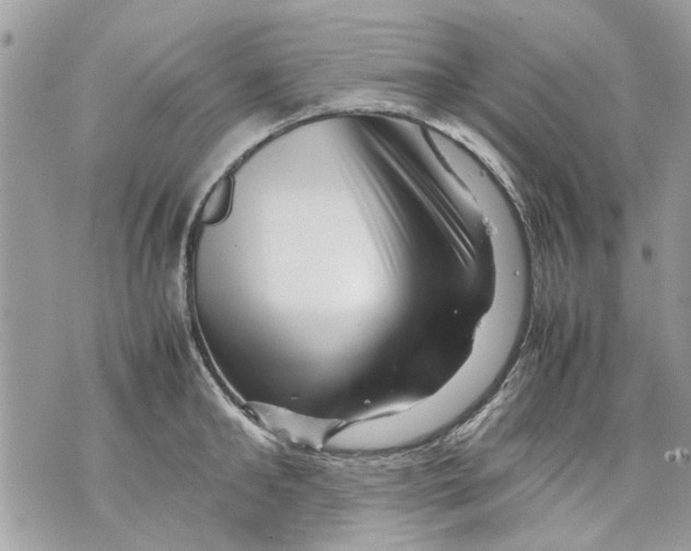 X0000070190902200606161548