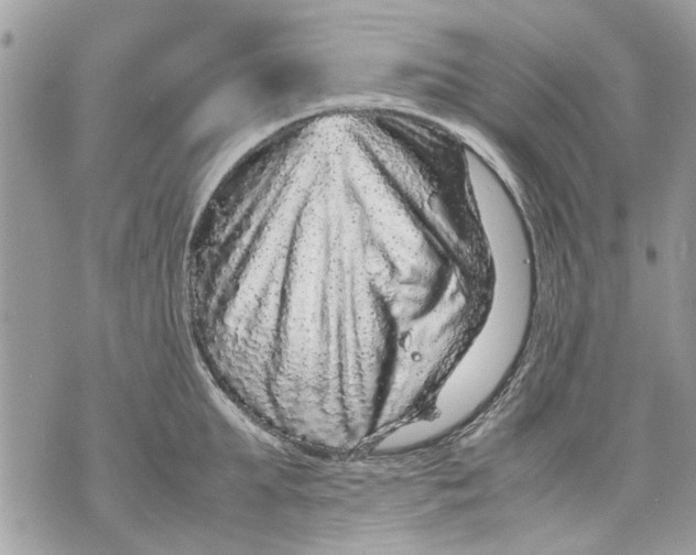 X0000070190903200606161548