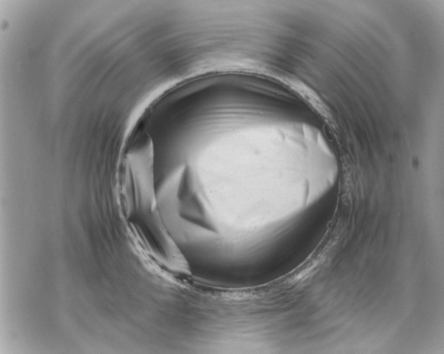 X0000070190904200606161548