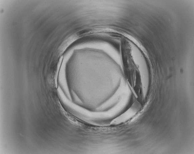 X0000070190905200606161548