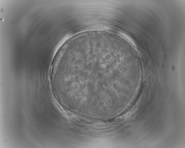 X0000070190907200606161548