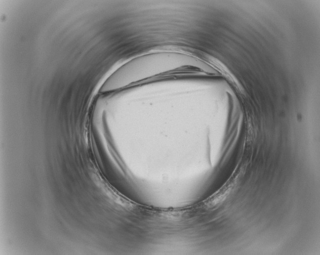 X0000070190908200606161548