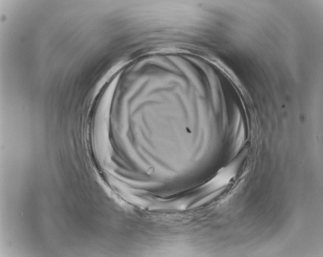 X0000070190909200606161548