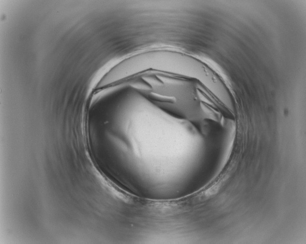 X0000070190910200606161548