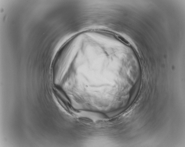 X0000070190911200606161548