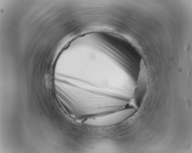 X0000070190912200606161548