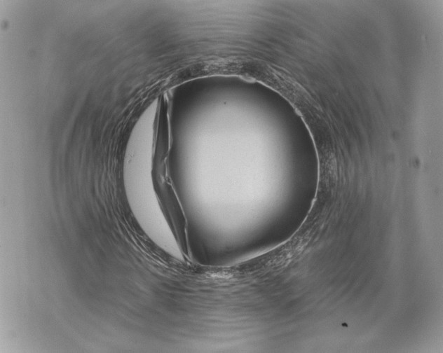 X0000070190914200606161547