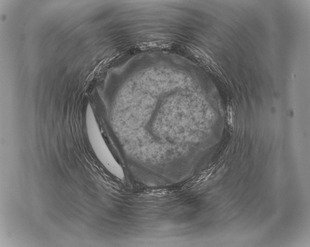 X0000070190915200606161547