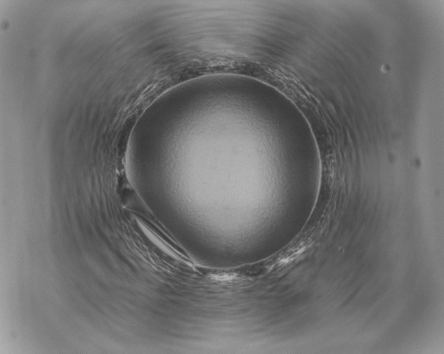 X0000070190916200606161547