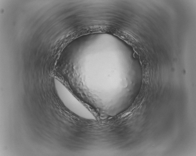 X0000070190917200606161547