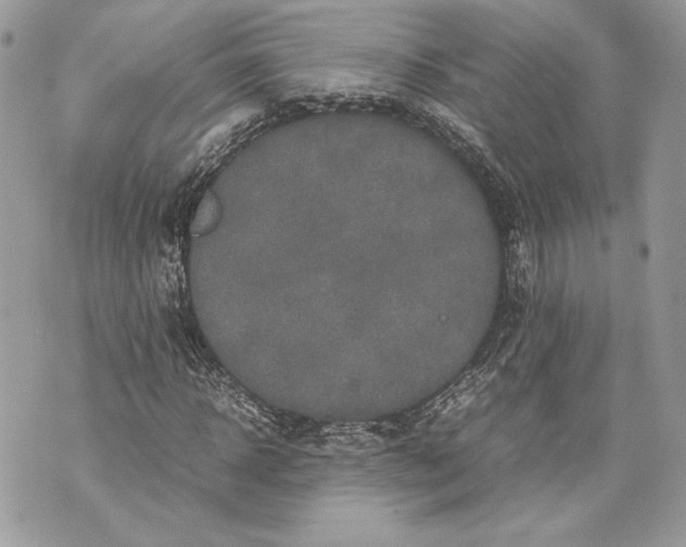 X0000070190918200606161547