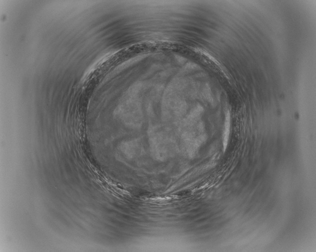 X0000070190919200606161547