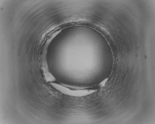 X0000070190920200606161547