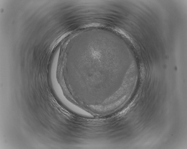 X0000070190921200606161547