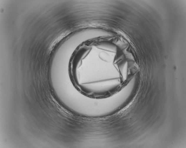 X0000070190922200606161547