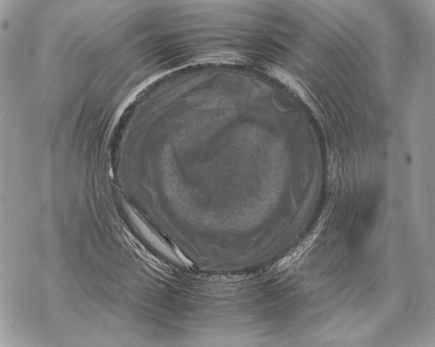 X0000070190923200606161547