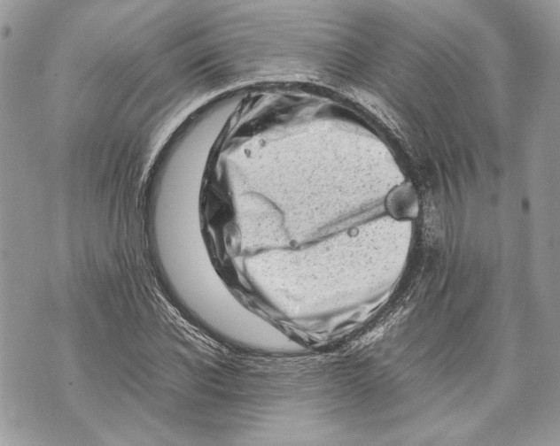 X0000070190926200606161547