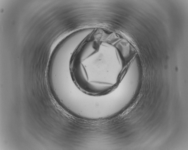 X0000070190928200606161547