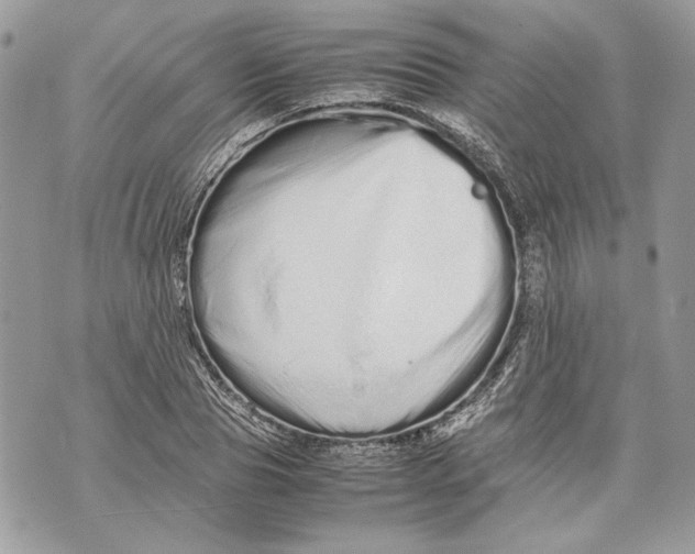 X0000070190929200606161547