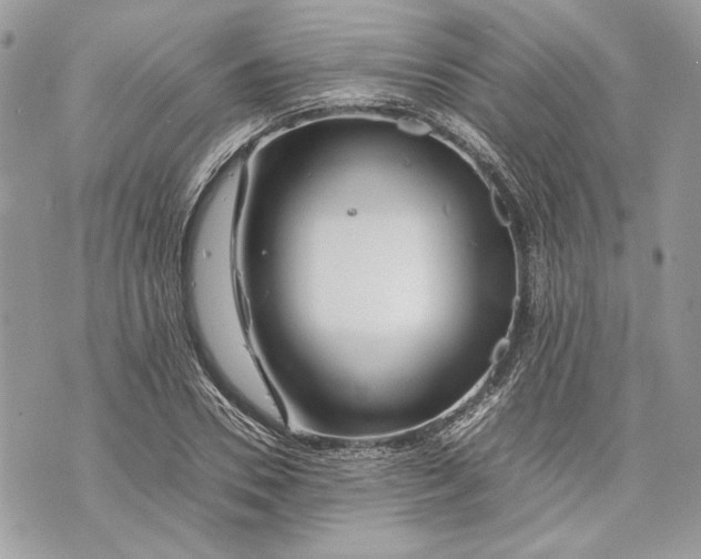 X0000070190930200606161547