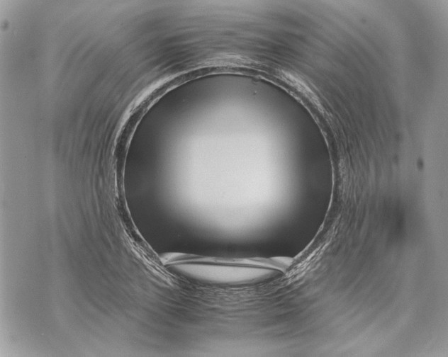 X0000070190931200606161547