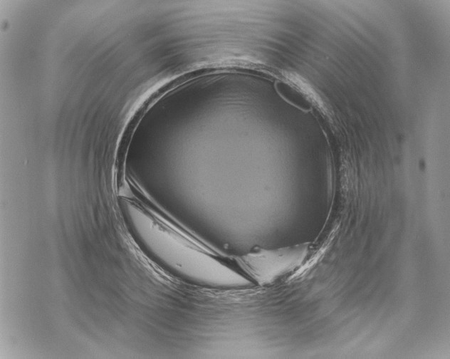 X0000070190932200606161547