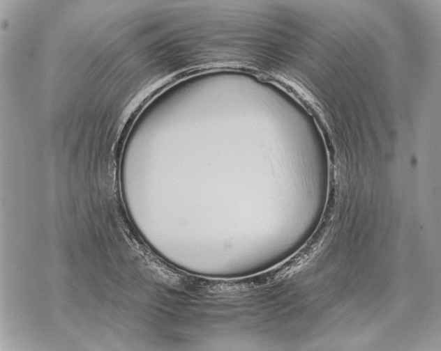 X0000070190933200606161547