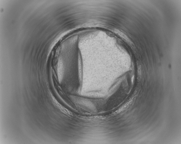 X0000070190934200606161547