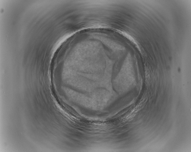 X0000070190935200606161547