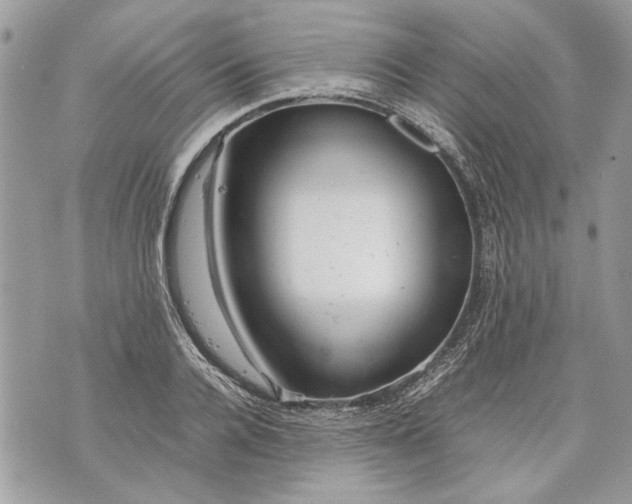 X0000070190936200606161547