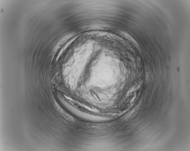 X0000070190938200606161547