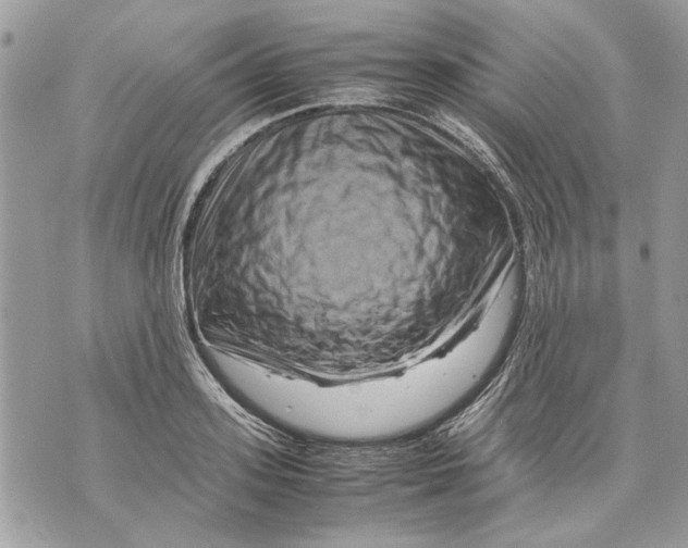 X0000070190939200606161547