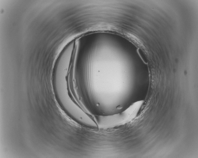 X0000070190942200606161547