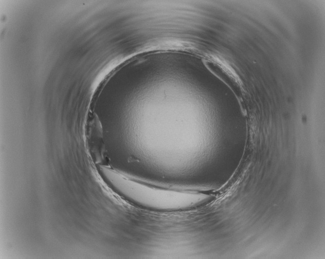 X0000070190944200606161547