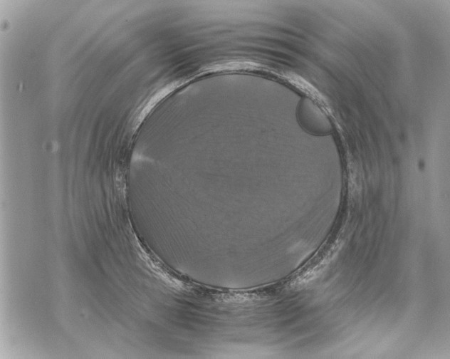 X0000070190945200606161547