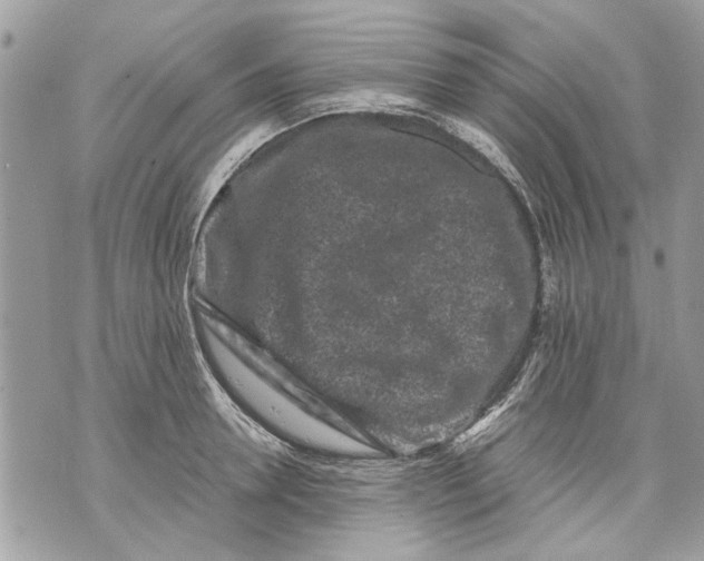 X0000070190946200606161547