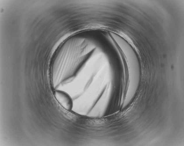 X0000070190947200606161547