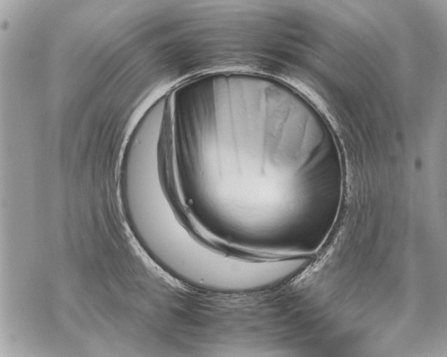 X0000070190949200606161547