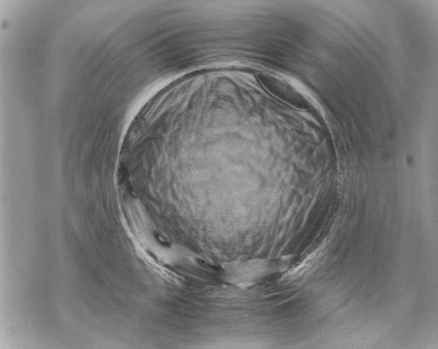 X0000070190951200606161547