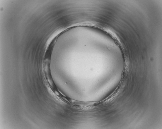 X0000070190952200606161547