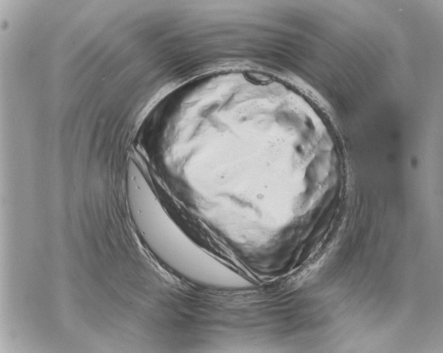 X0000070190953200606161547