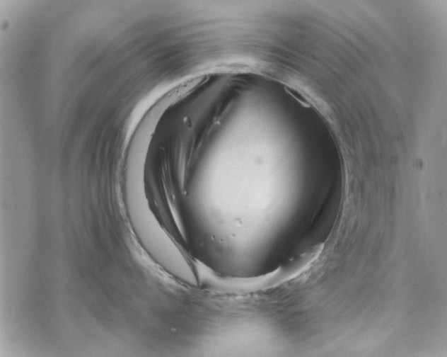 X0000070190960200606161548