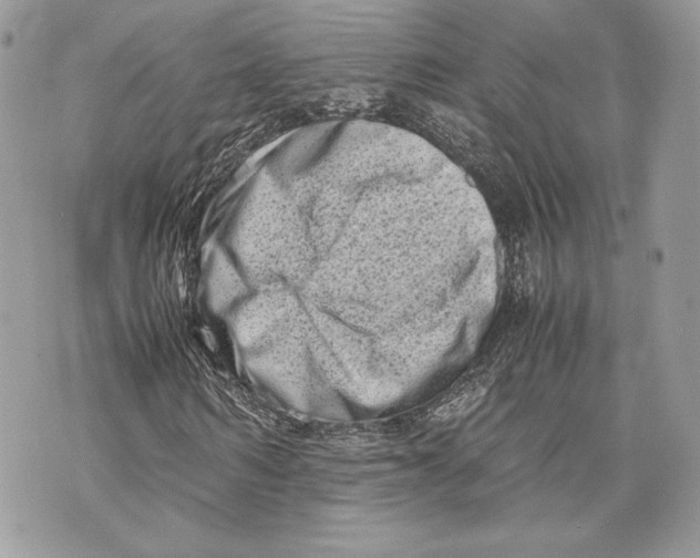 X0000070190962200606161547