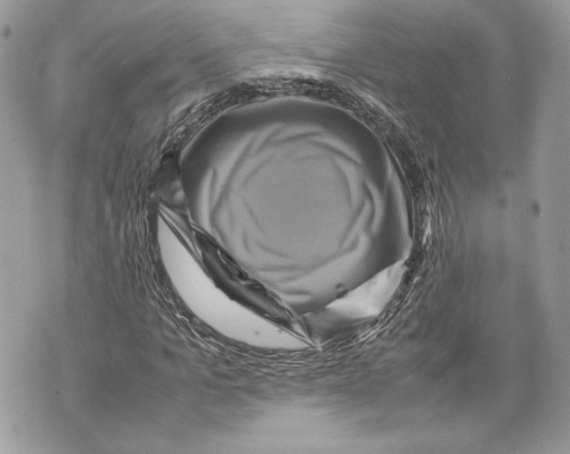 X0000070190965200606161547