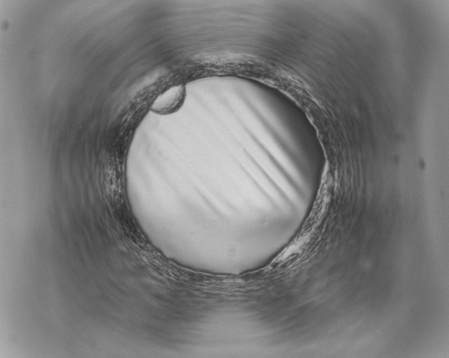 X0000070190966200606161547