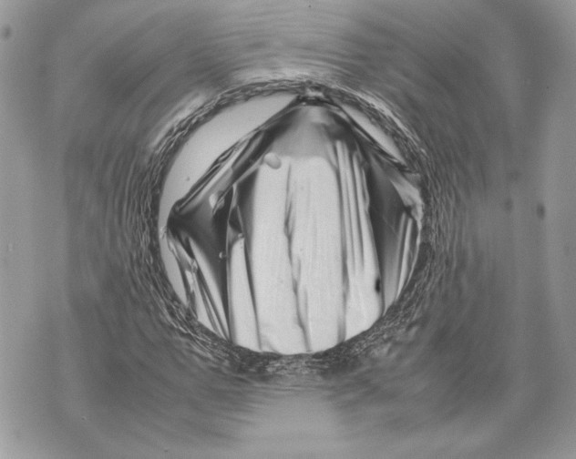 X0000070190967200606161547